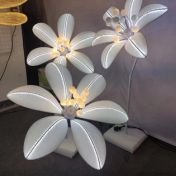 acrylic hanging Image